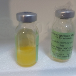 2 TYB vials 5ml each -ONLY vials